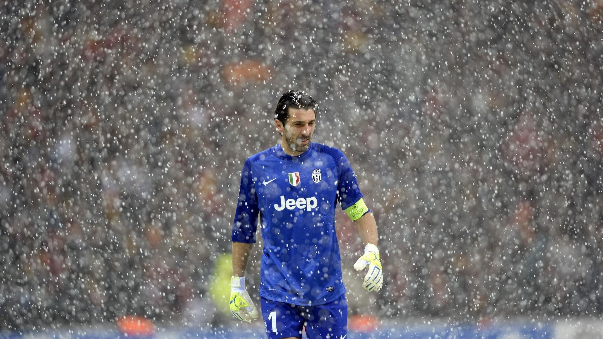 悉尼国王主场表现抢眼，悉尼国际