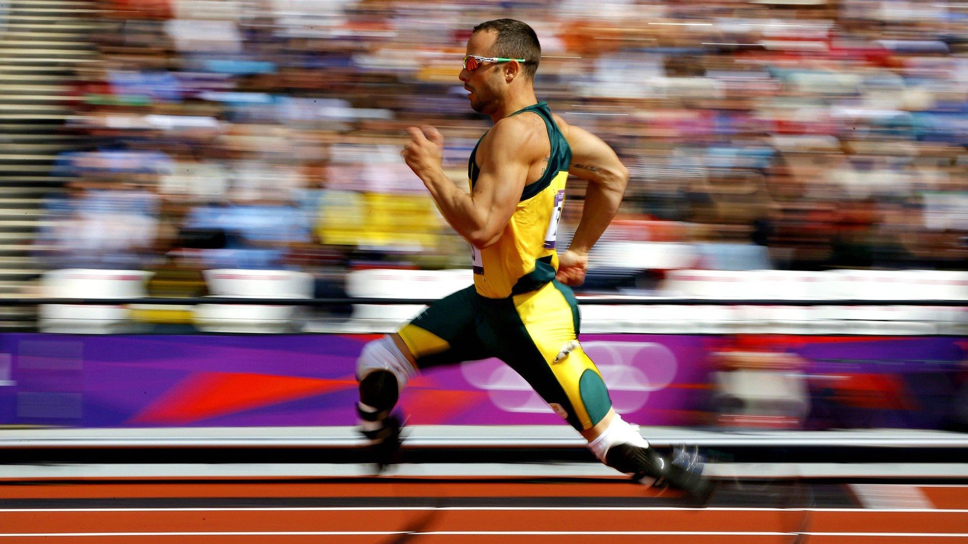 球场英雄谱写胜利新篇章，展现团队合作力量，球场口号标语